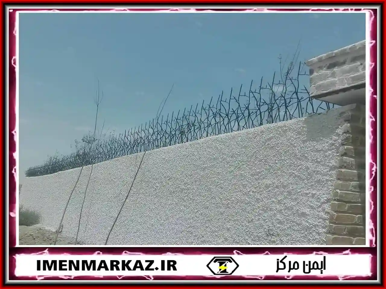 پراکندگی شاخک ها در حفاظ شاخ گوزنی تهران پراکندگی شاخک ها در حفاظ شاخ گوزنی تهران