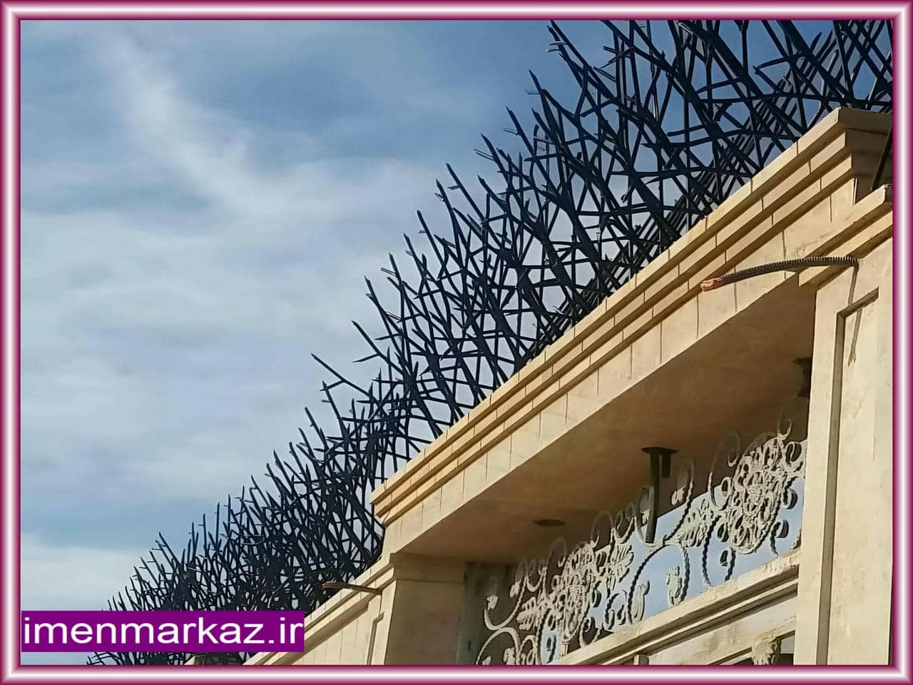 حفاظ شاخ گوزنی | ایمن مرکز حفاظ شاخ گوزنی