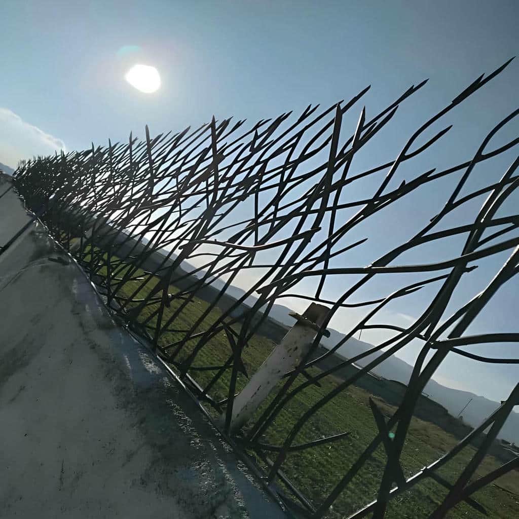 قیمت حفاظ شاخ گوزنی