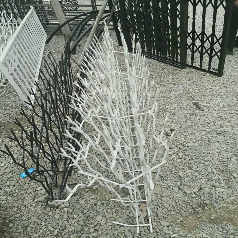 حفاظ شاخ گوزنی چیست