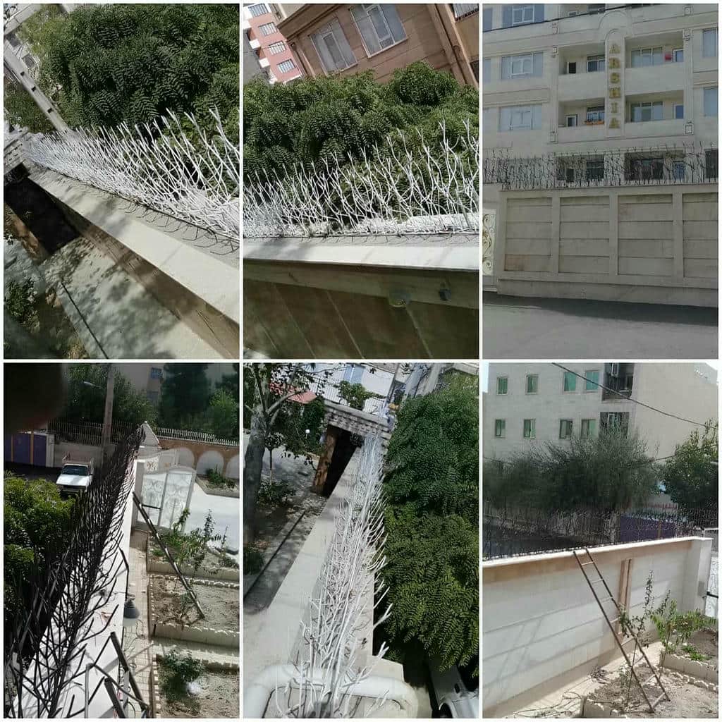 خرید حفاظ شاخ گوزنی نوک فولادی تیز در بندر بوشهر