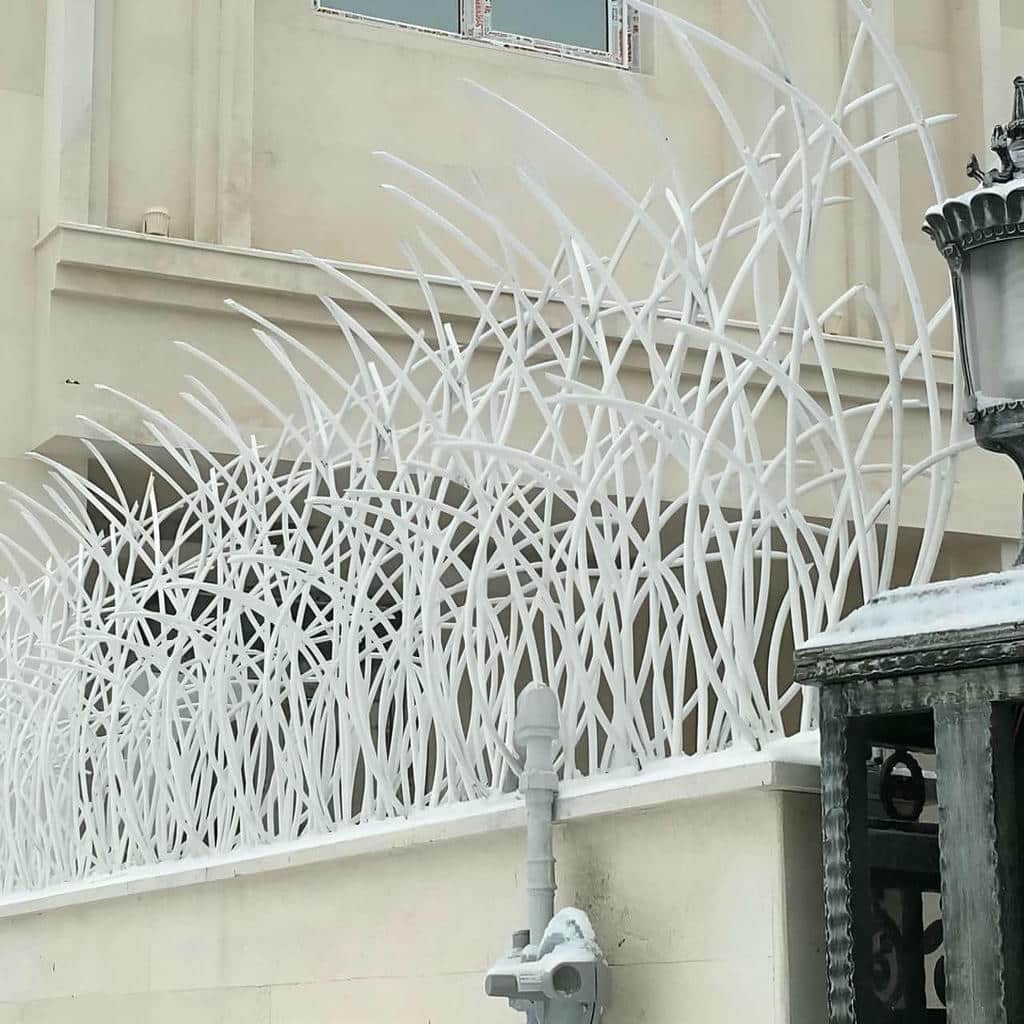 حفاظ شاخ گوزنی در استان گیلان