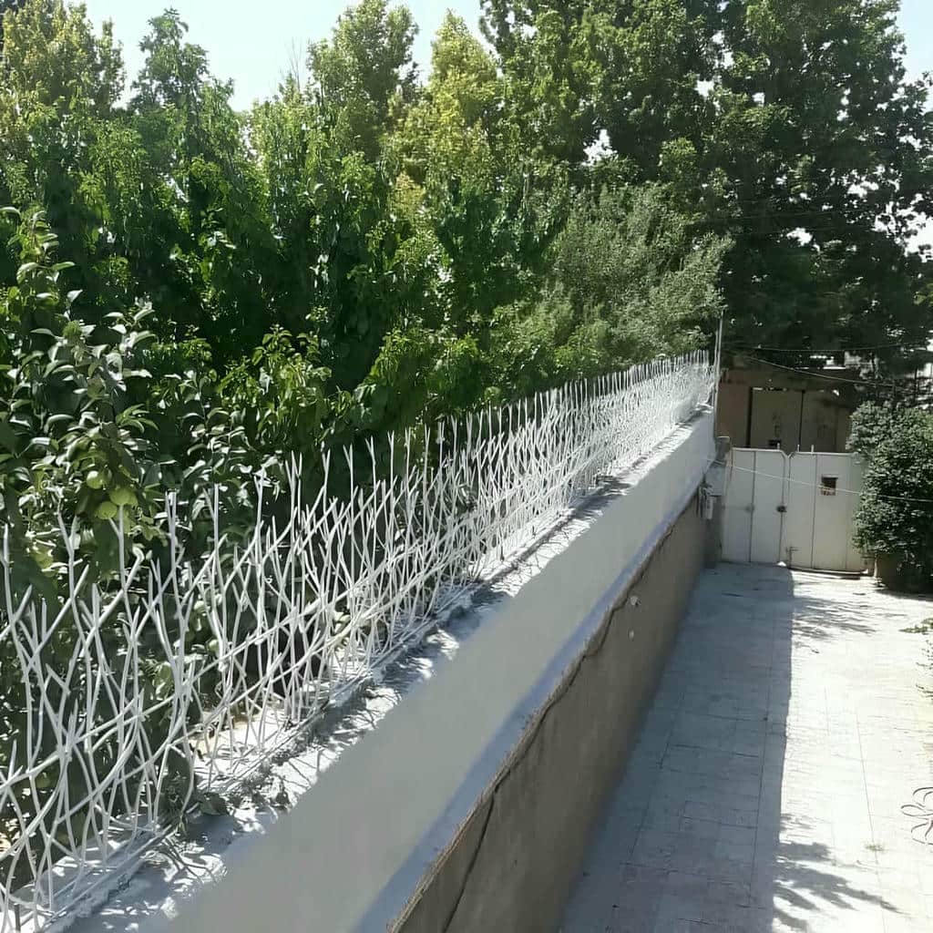 قیمت حفاظ شاخ گوزنی تراکم متعادل در فیروزکوه