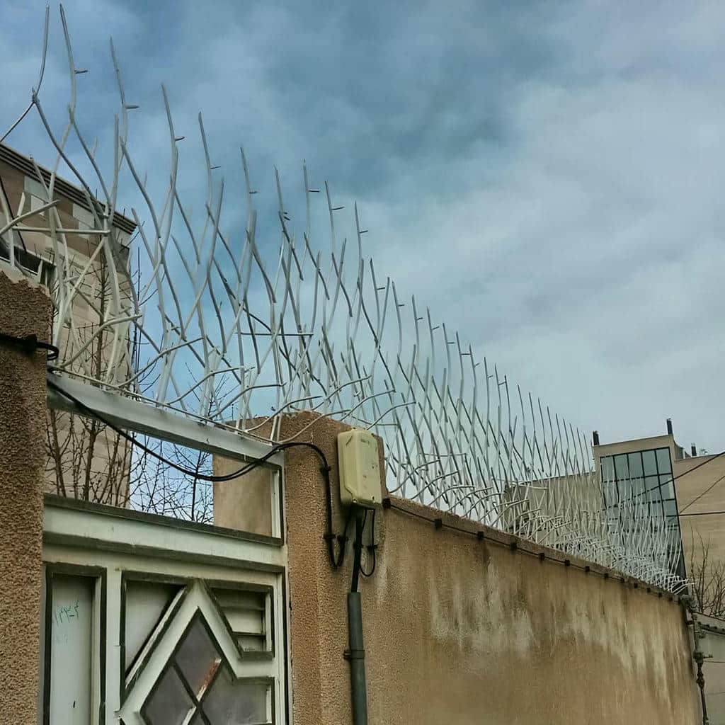 خرید حفاظ شاخ گوزنی تراکم بالا در چالوس