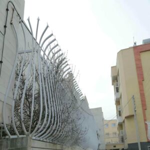 حفاظ شاخ گوزنی در قزوین