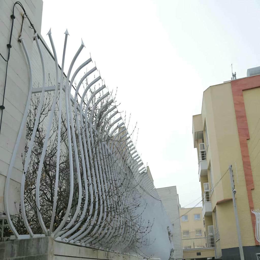 حفاظ شاخ گوزنی در قزوین