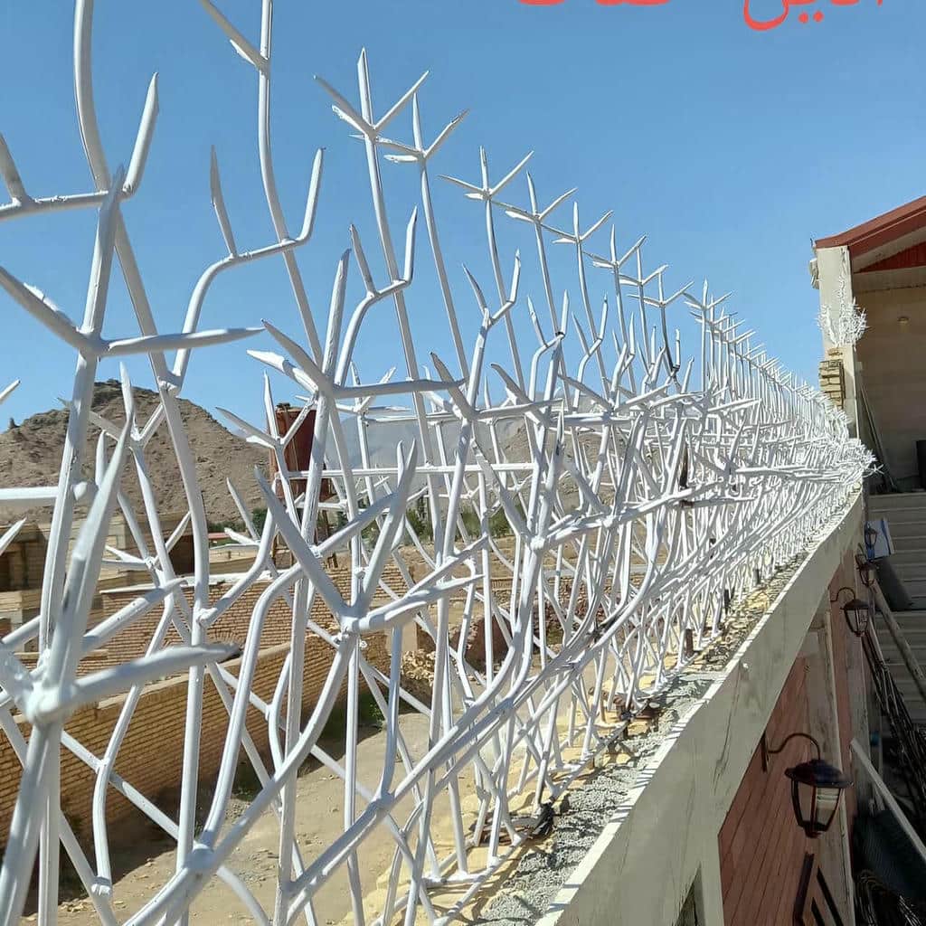 قیمت حفاظ شاخ گوزنی ارتفاع متنوع در هشتگرد