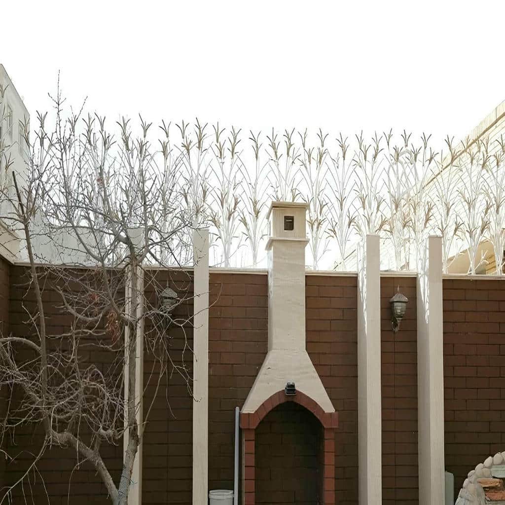 حفاظ شاخ گوزنی در زاهدان