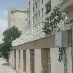 حفاظ شاخ گوزنی در سمنان