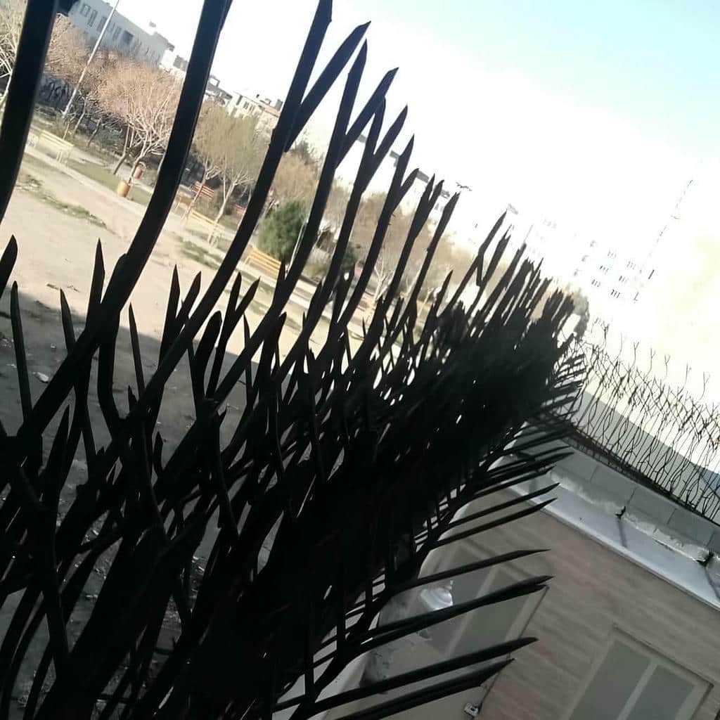 خرید حفاظ شاخ گوزنی نوک فولادی در چابهار