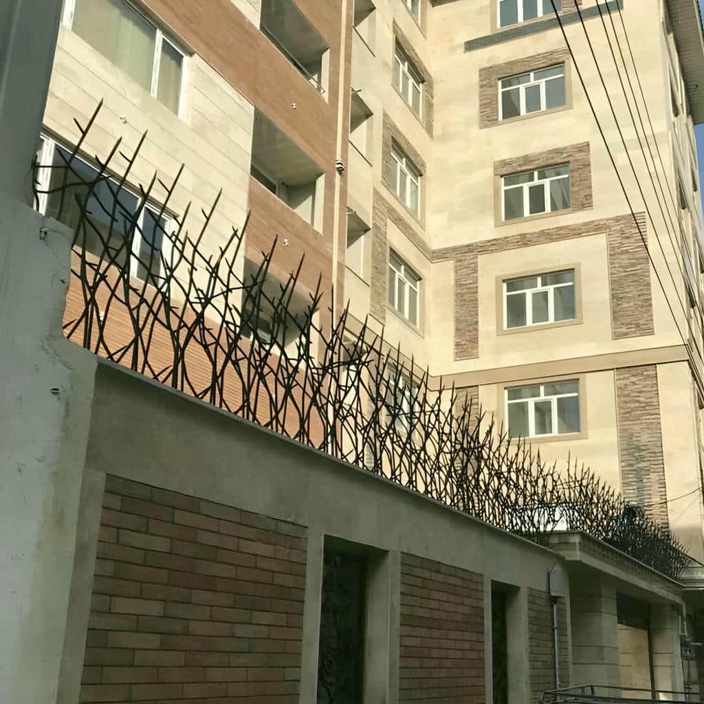 حفاظ شاخ گوزنی در بندر انزلی
