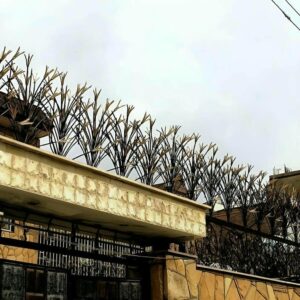 حفاظ شاخ گوزنی در کرمانشاه