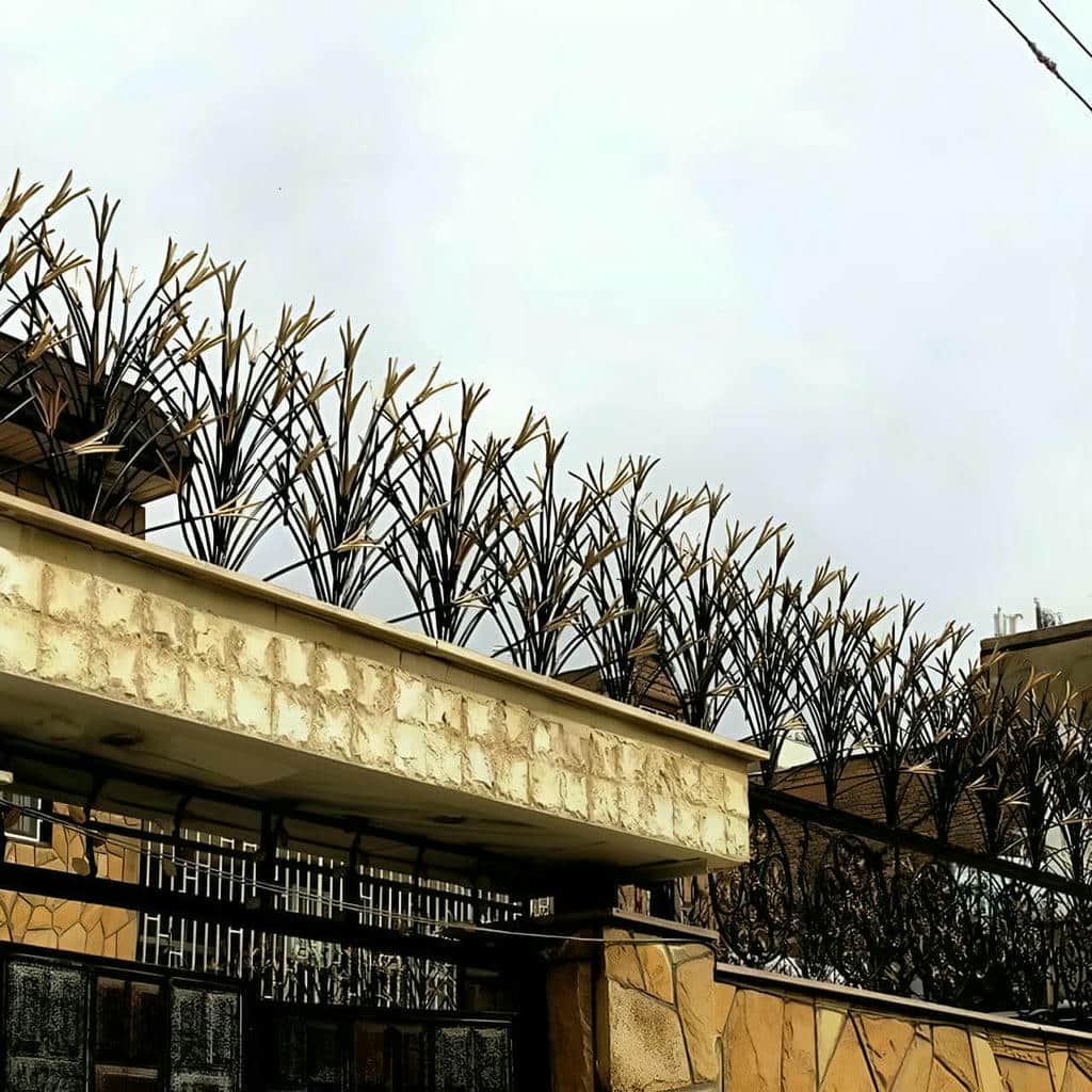 حفاظ شاخ گوزنی در کرمانشاه