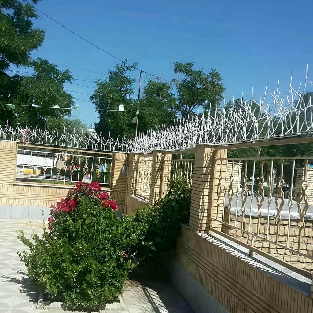 قیمت حفاظ شاخ گوزنی تراکم متعادل در چالوس