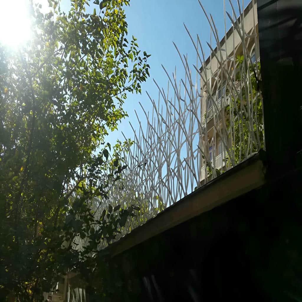 حفاظ شاخ گوزنی در رشت