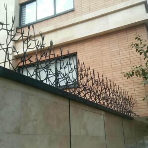 حفاظ شاخ گوزنی در ملارد