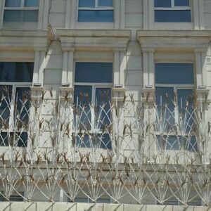 حفاظ شاخ گوزنی در ارومیه