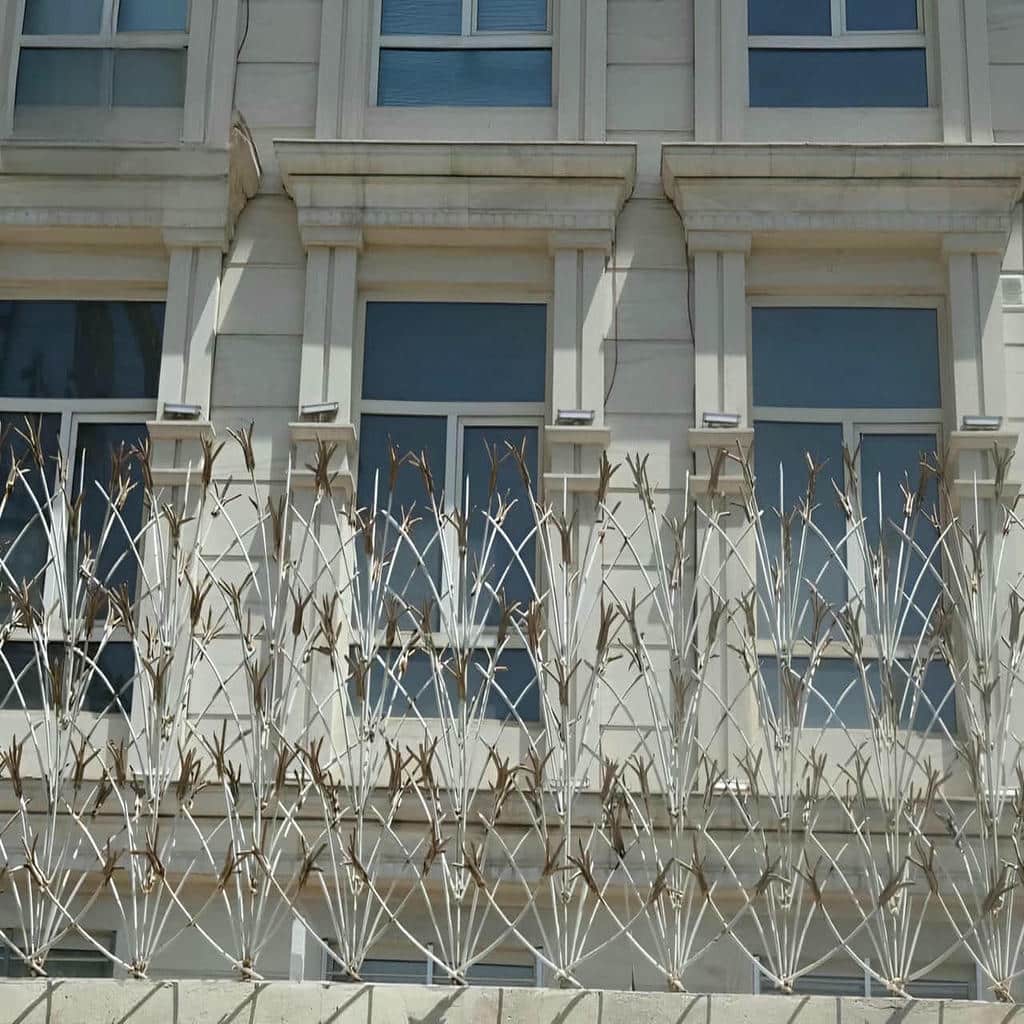 حفاظ شاخ گوزنی در ارومیه