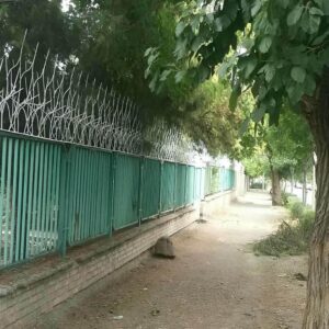 حفاظ شاخ گوزنی در مشهد
