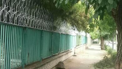 حفاظ شاخ گوزنی در مشهد