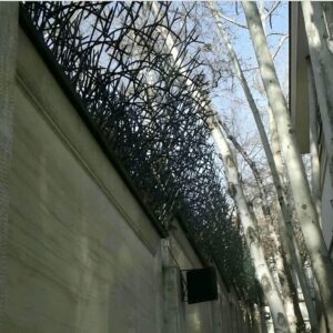حفاظ شاخ گوزنی در شهرکرد