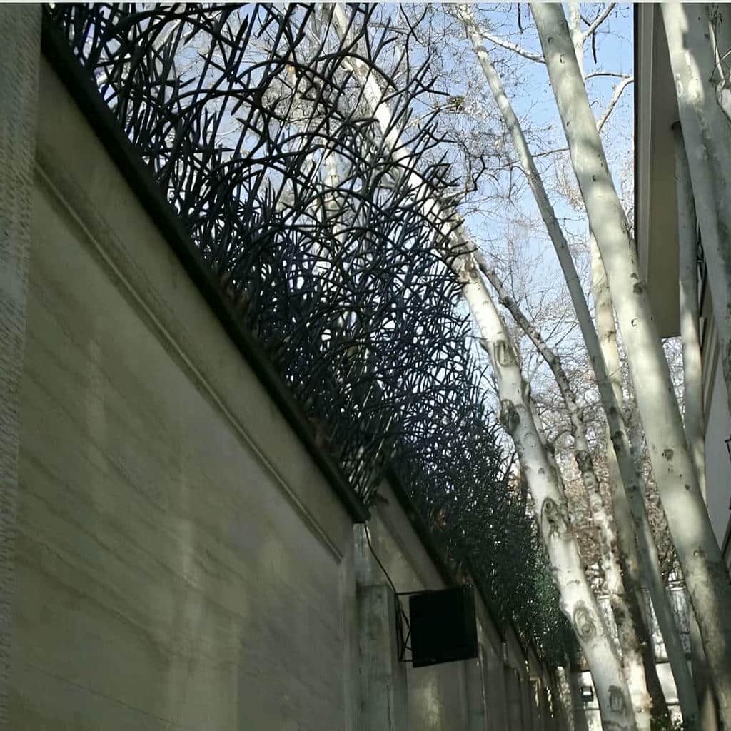 حفاظ شاخ گوزنی در شهرکرد