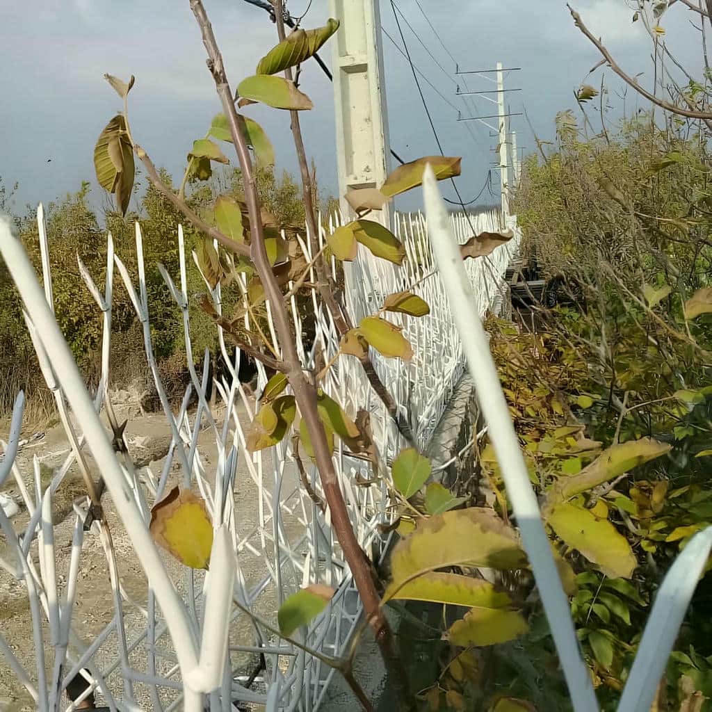 نصب حفاظ شاخ گوزنی میلگرد استاندارد در اصفهان