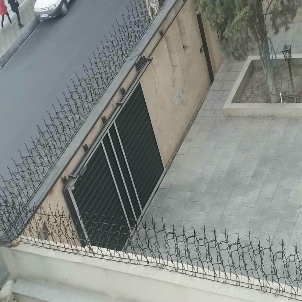 خرید حفاظ شاخ گوزنی نوک فولادی در اردبیل