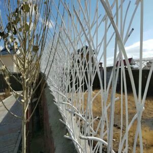 حفاظ شاخ گوزنی در پردیس