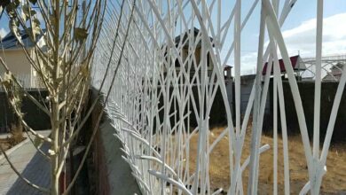 حفاظ شاخ گوزنی در پردیس