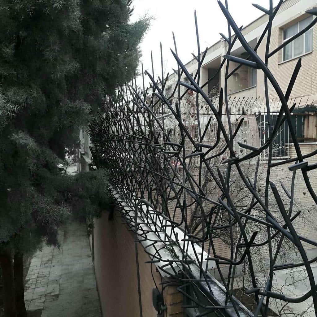 قیمت حفاظ شاخ گوزنی ارتفاع متنوع در فشم
