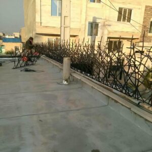 حفاظ شاخ گوزنی در استان گلستان