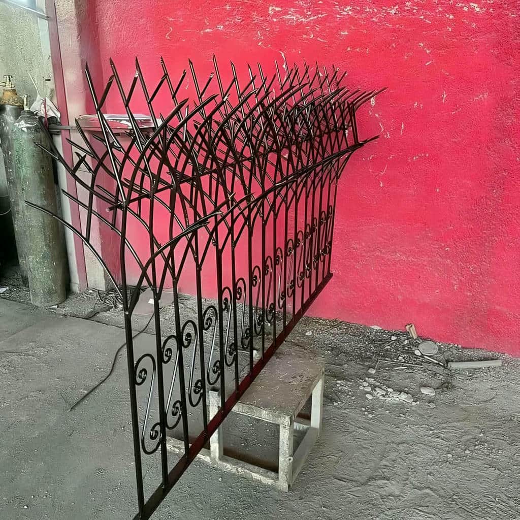 خرید حفاظ شاخ گوزنی تراکم ساحلی در قشم