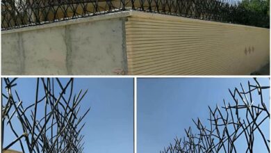 حفاظ شاخ گوزنی در اردبیل