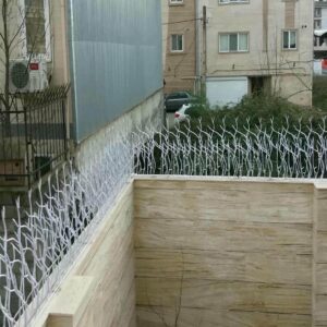 حفاظ شاخ گوزنی در بجنورد