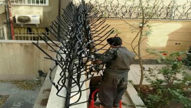 حفاظ شاخ گوزنی در ایرانشهر