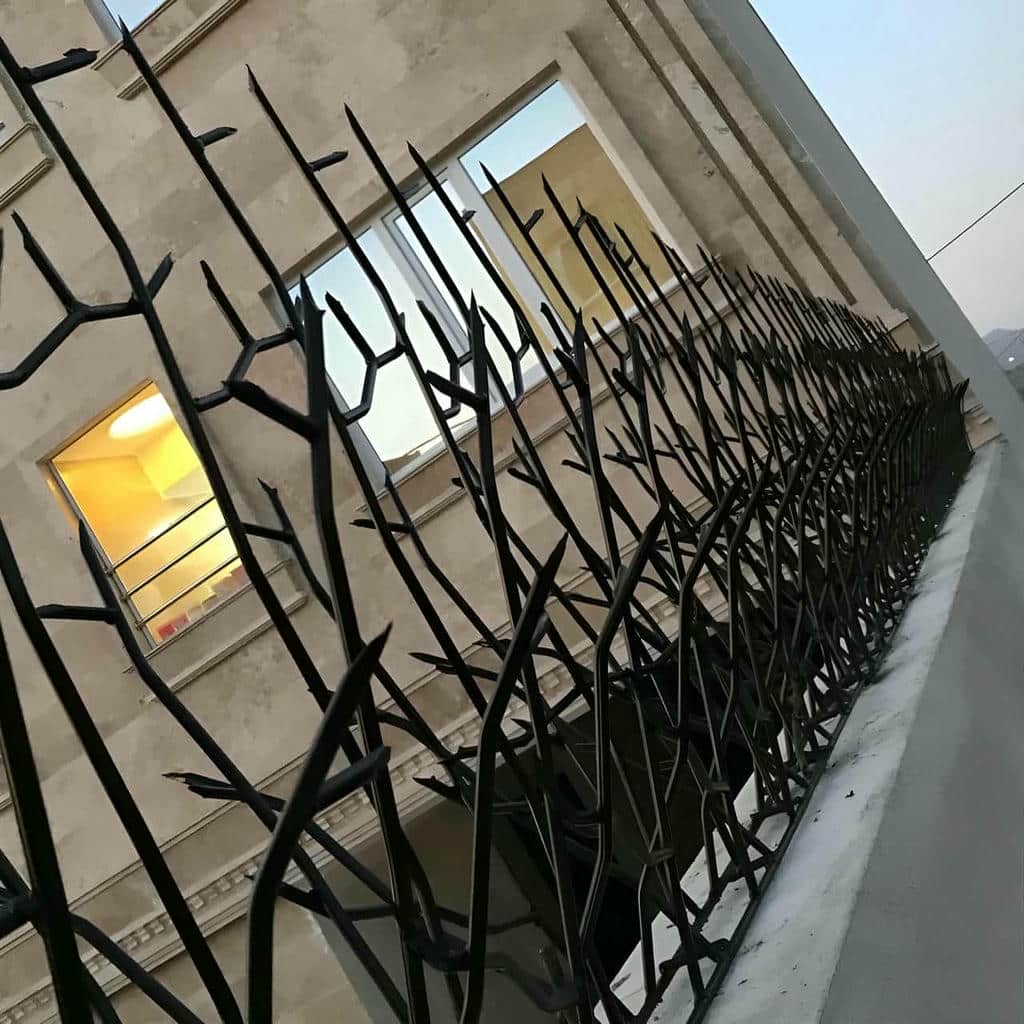 خرید حفاظ شاخ گوزنی تراکم متنوع در گنبدکاووس
