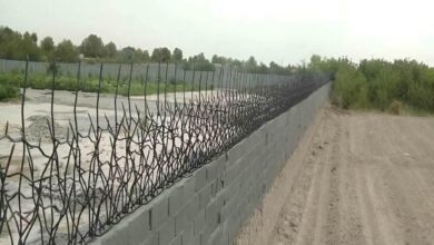 حفاظ شاخ گوزنی در تهران