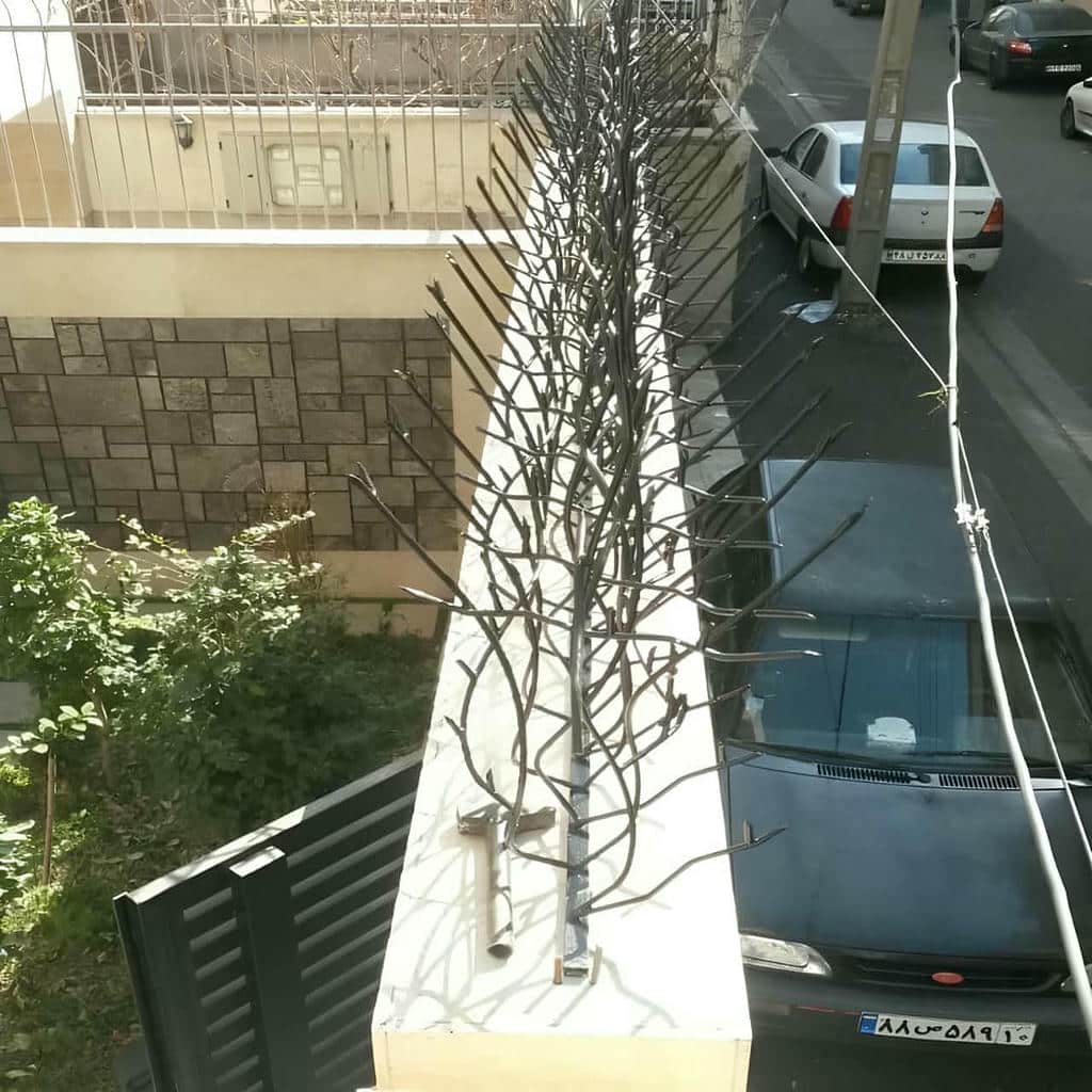 خرید حفاظ شاخ گوزنی نوک فولادی در گنبدکاووس