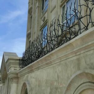 حفاظ شاخ گوزنی در مهرشهر کرج