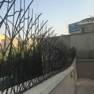 حفاظ شاخ گوزنی در کمال شهر