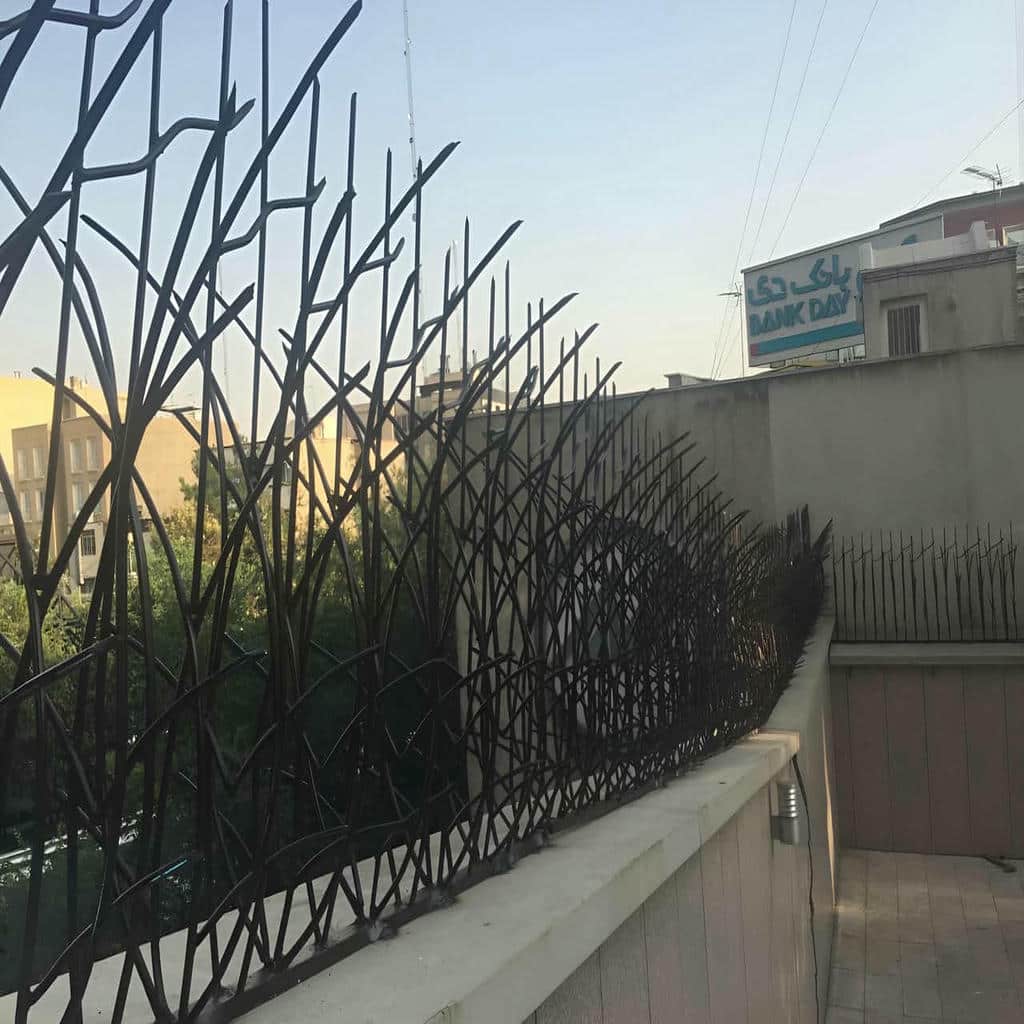 حفاظ شاخ گوزنی در کمال شهر