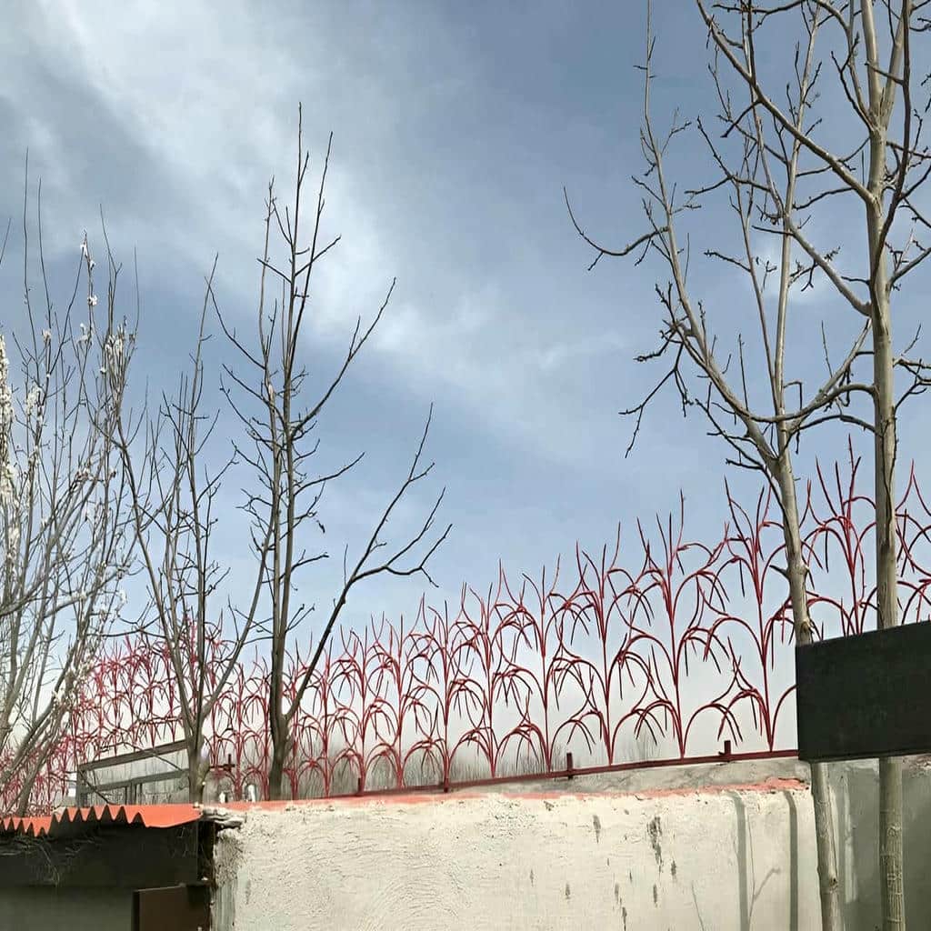 حفاظ شاخ گوزنی در بیرجند