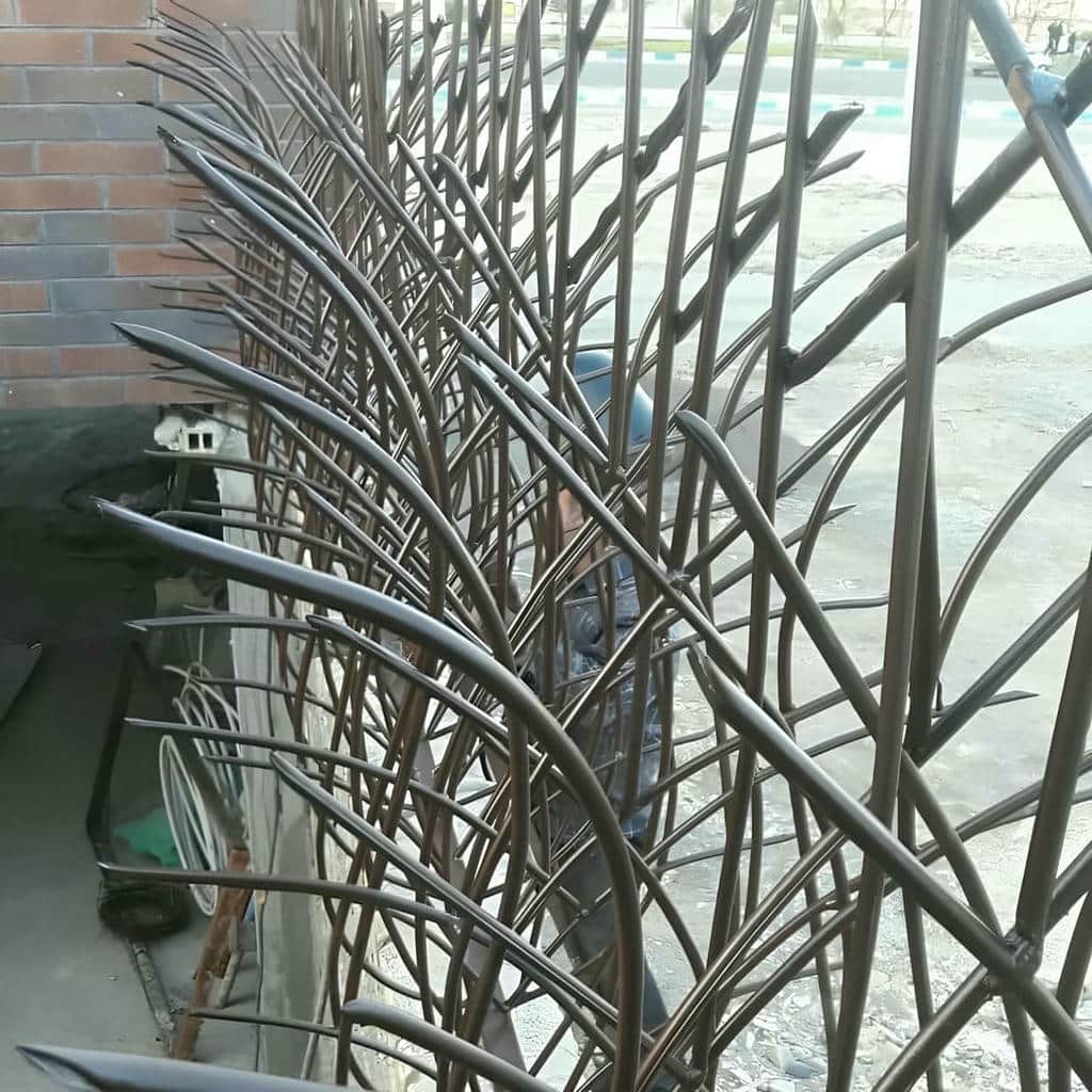 حفاظ شاخ گوزنی در کیش