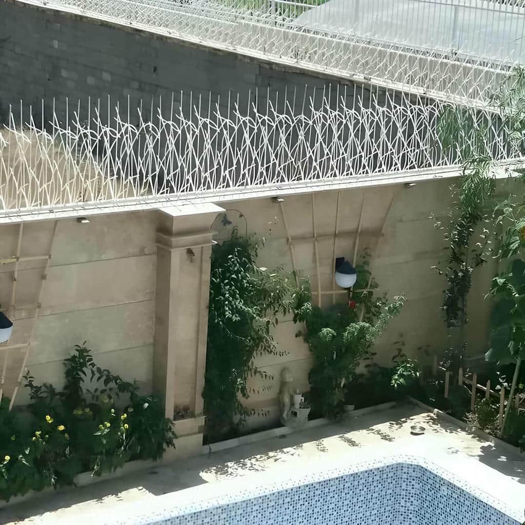 قیمت حفاظ شاخ گوزنی ویلا در شیراز