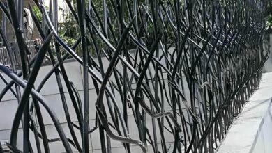 حفاظ شاخ گوزنی در اصفهان