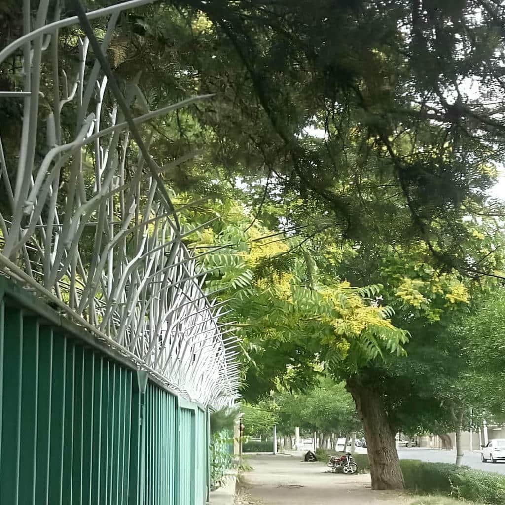 قیمت حفاظ شاخ گوزنی تراکم متعادل در بیرجند