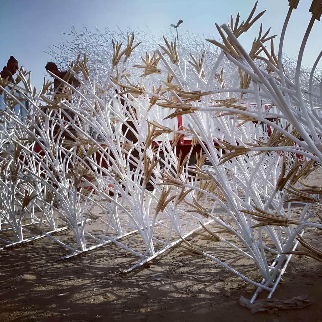 حفاظ شاخ گوزنی در کرج