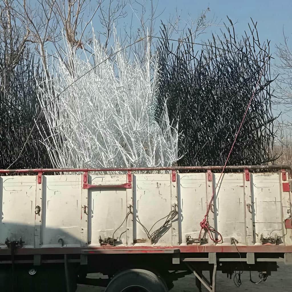 قیمت حفاظ شاخ گوزنی ویلا در تهران قیمت حفاظ شاخ گوزنی ویلا در تهران