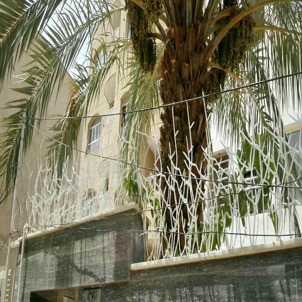 حفاظ شاخ گوزنی در آبسرد